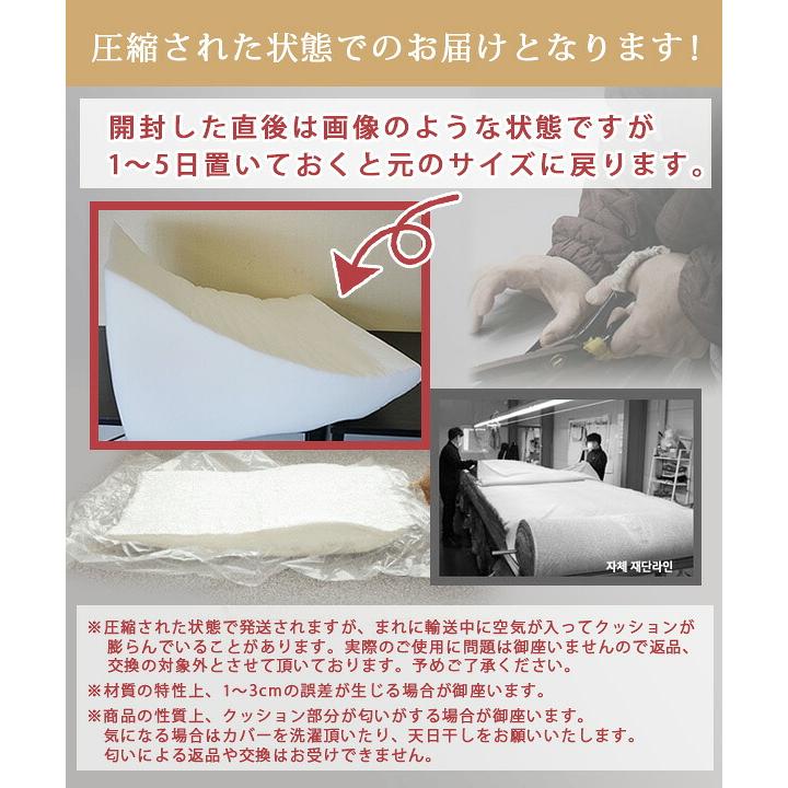 Chocopethouse ノンスリップ ステップ 2.0 スタンダード 滑らない