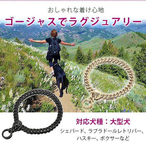 ゆうパケット対応/ladashop ドッグチェーンカラー 首輪 ブラック