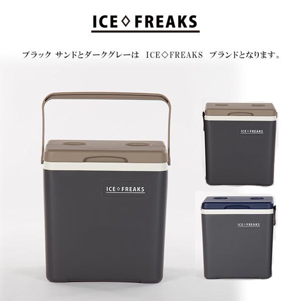クーラーボックス 小型 アイスフリークス Day+ 14L おしゃれ ミニ