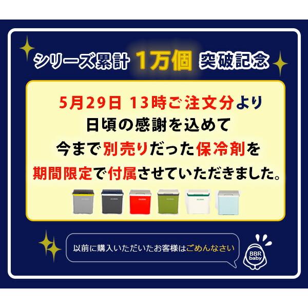 クーラーボックス 小型 アイスフリークス 14L 保冷剤1個付 ミニ ハード