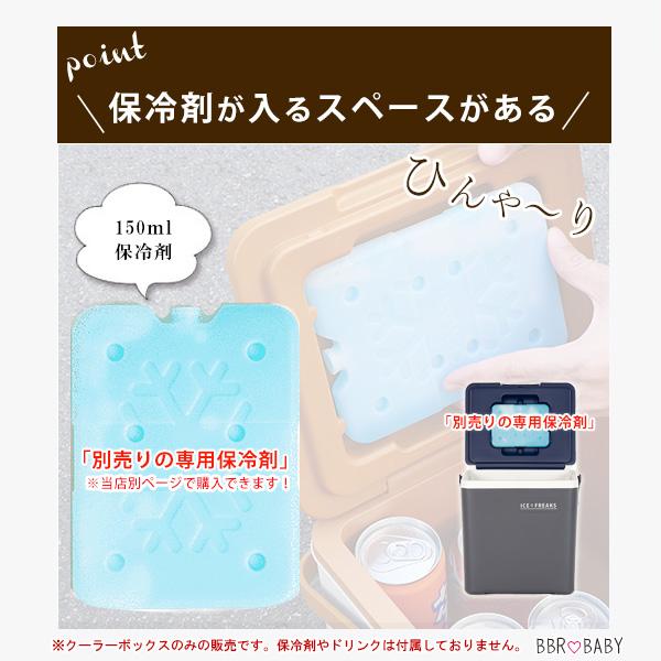 クーラーボックス 小型 アイスフリークス Day+ 14L おしゃれ ミニ
