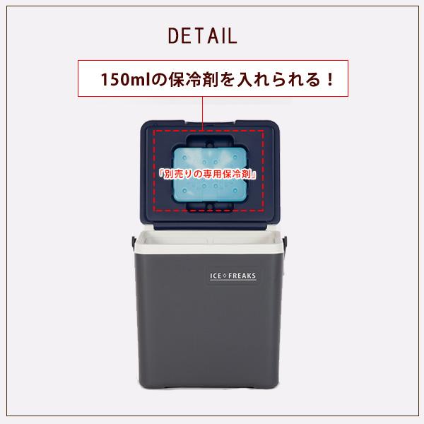クーラーボックス 小型 アイスフリークス Day+ 14L おしゃれ ミニ