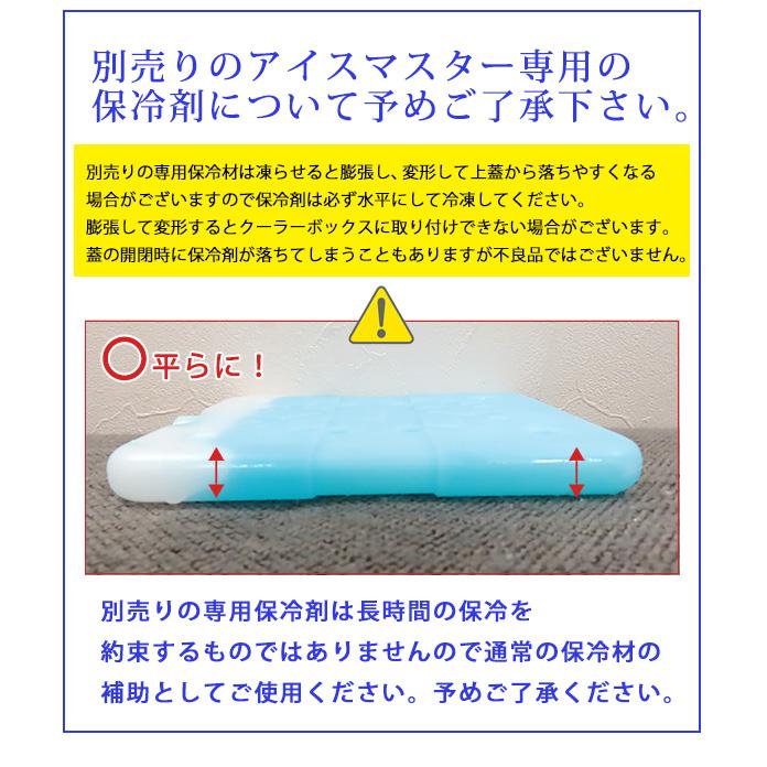 クーラーボックス 小型 アイスマスター マスター 5L おしゃれ ミニ