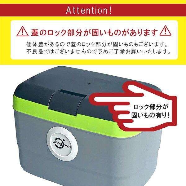 クーラーボックス 小型 LIVING OVOJE アイスボックス 21L おしゃれ