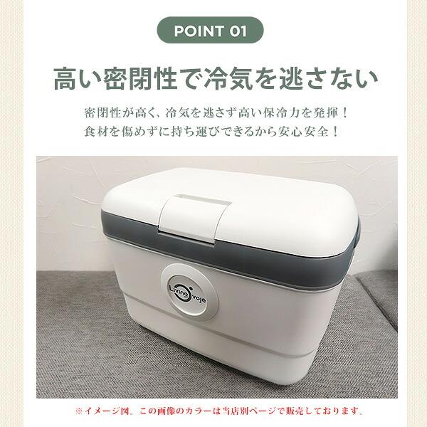 クーラーボックス 小型 コンボセット LIVING OVOJE アイスボックス 9L