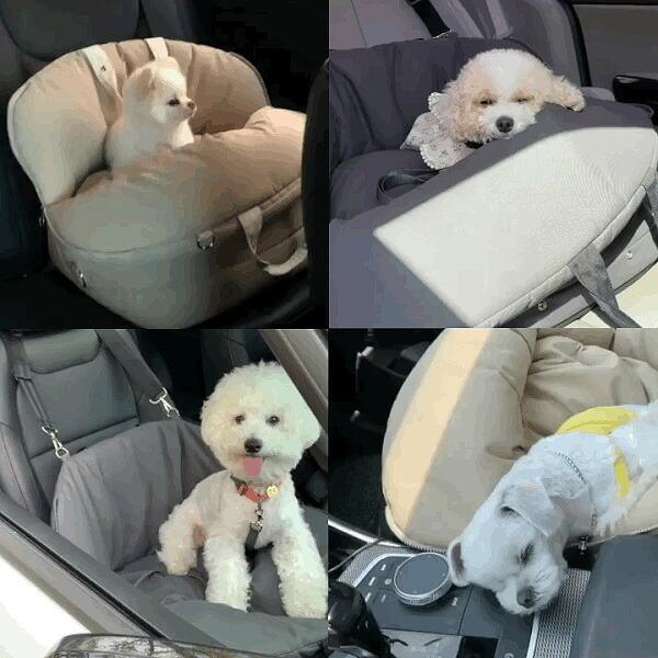 リカリカ 正規品 エアシェル カーシート ドライブボックス ペット