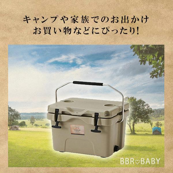 LocknLock クーラーボックス 15L ミニ クーラー ハードクーラー 保冷