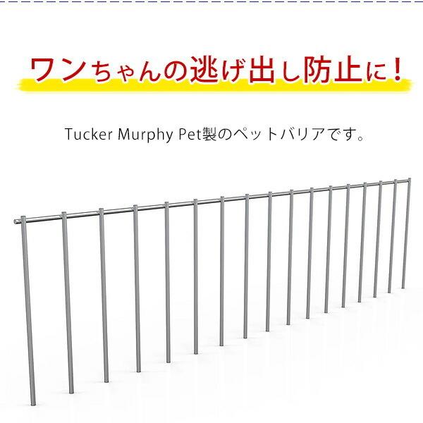 Tucker Murphy Pet エラリー ドッグ ペットバリア 25個セット 逃げ出し