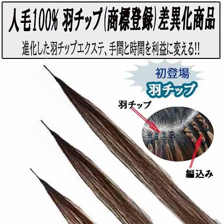 羽チップエクステ MGR50 長さ50cm 20本セット : ウィッグ・エクステ