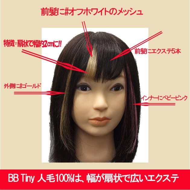 見えない(極小) nano チップで取付 エクステ人毛100% 20cm 4本 見えない(極小) nano チップで取付 エクステ人毛100% 20cm 4本