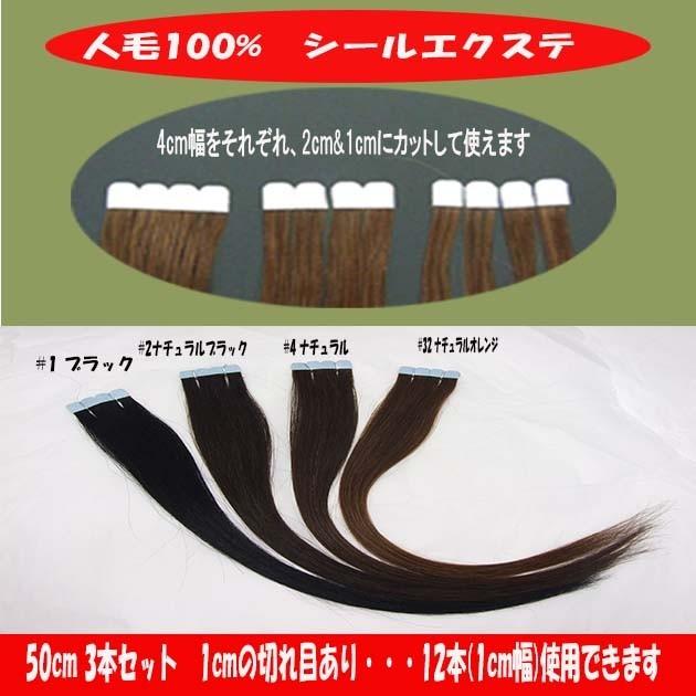 シールエクステ 人毛100% 50cm 3本セット（1本約2.4g） sl-051