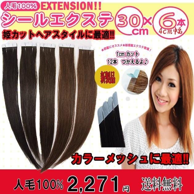 シールエクステ 人毛100% 30cm 6本セット 1cm の切れ目有 カット シールエクステ 人毛100% 30cm 6本セット 1cm の切れ目有 カット