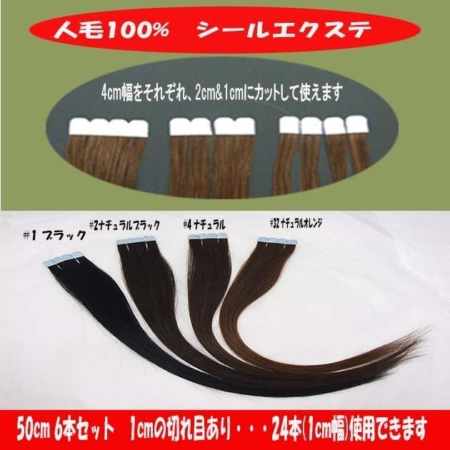 シールエクステ 人毛100% 50cm 6本セット(1本約2.4g) sl-050 シールエクステ 人毛100% 50cm 6本セット(1本約2.4g) sl-050