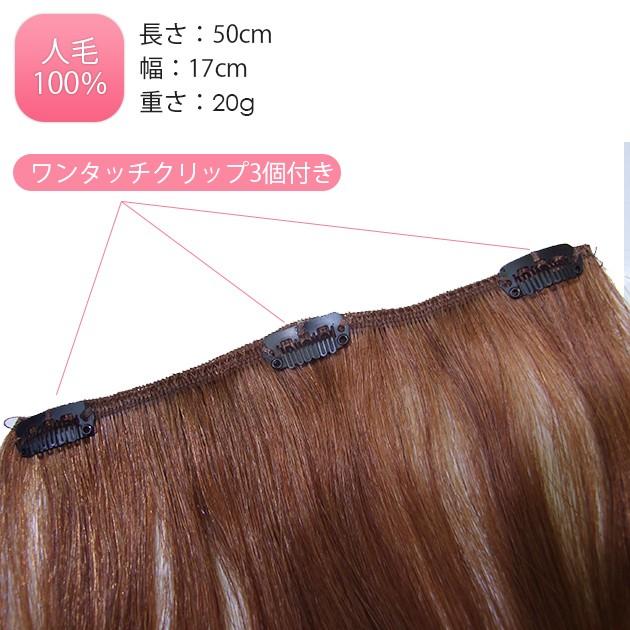 エクステ 人毛100% 50cm 20g w220 : ウィッグ・エクステ専門店