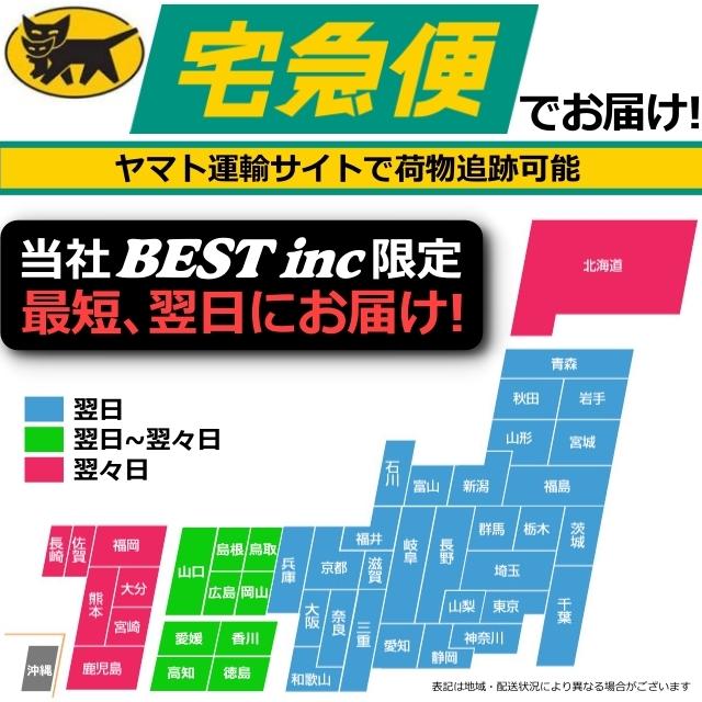 SONY（ソニー） 並行輸入品・純正＜ 新品 ＞LIR0940 CP0940