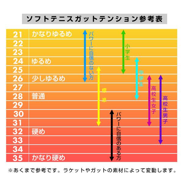 ガットも張り上げも無料 ヨネックス ソフトテニス ジオブレイク 70V ステア 前衛 ボレー重視 専用ケース付 軟式ラケット 男女兼用 中級者 軟式 日本製 02GB7S-S | YONEX | 07