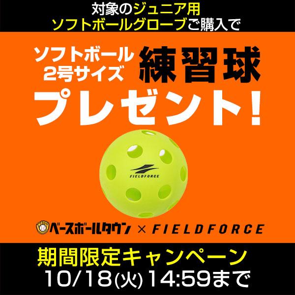 MIZUNO 交換往復送料無料 ミズノ ジュニアソフトボール用