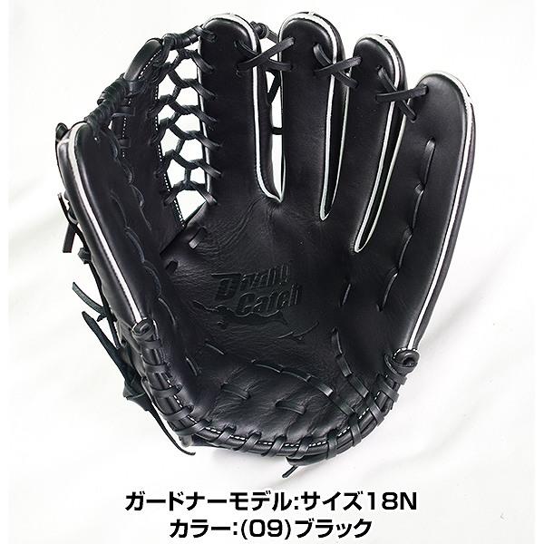 交換無料 ミズノ 野球 グローブ 軟式用 Diving Catch 1AJGR256 型付け可能(G) 1ajgr256野球用品