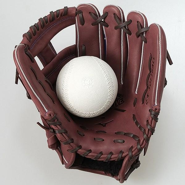 MIZUNO（ミズノ） 交換無料 ソフトボール グローブ 大人 右投げ WILL