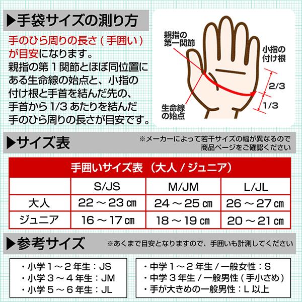 MIZUNO（ミズノ） 野球 バッティンググローブ 両手 シリコンパワー