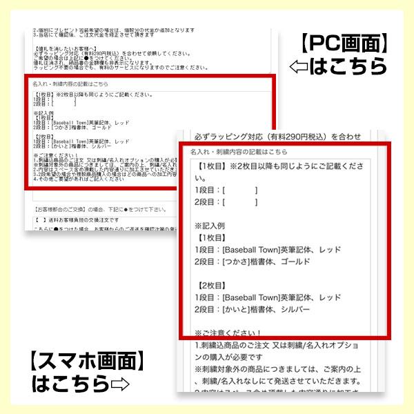 デカ文字刺繍代金込み 野球 リュック 大人 大容量 大型 ミズノプロ バックパック リュックサック デイパック バッグ 約40L 再帰反射 1FJD3000 加工可能(N)｜bbtown｜18