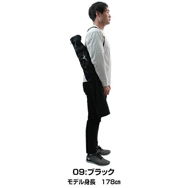 MIZUNO（ミズノ） 野球 バットケース 2本入れ 一般 MIZUNO 1FJTD02009