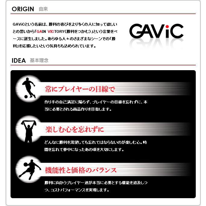 GAViC トレーニング用品 ガビック ウォーターバッグ 体幹 GAViC トレーニング用品 ガビック ウォーターバッグ 体幹