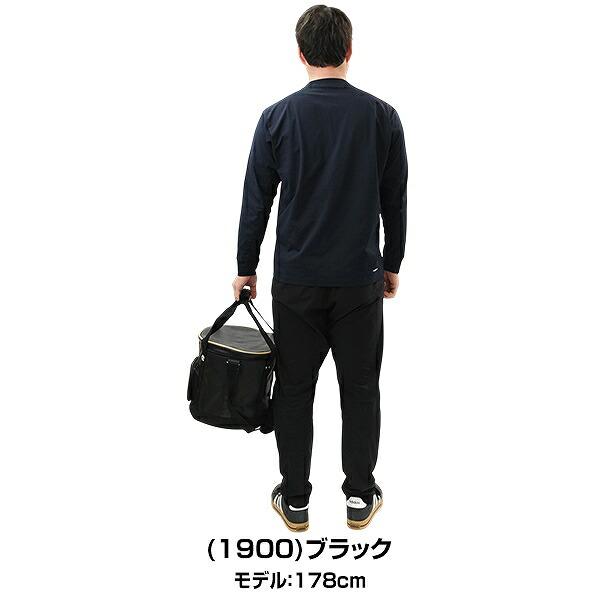 野球 ボールケース ゼット プロステイタス 硬式・軟式5ダース ソフトボール3号2ダース収納可能 ボールバッグ BAP217 バッグ刺繍有料可(B)の画像