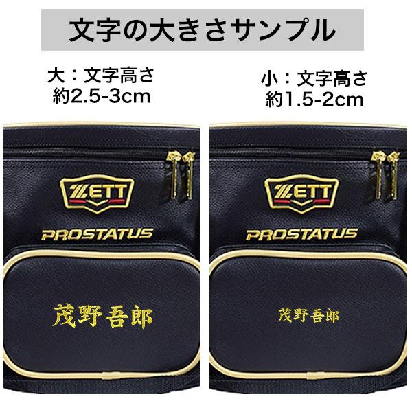 野球 ボールケース ゼット プロステイタス 硬式・軟式5ダース ソフトボール3号2ダース収納可能 ボールバッグ BAP217 バッグ刺繍有料可(B)の画像