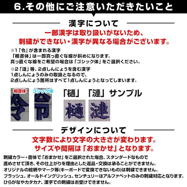 本体別売り アームスリーブ用刺繍オプション 文字刺繍対応 野球 ソフト