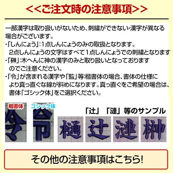 文字刺繍代金込み ボールケース 野球 軟式3ダース(36個分)収納可 硬式 軟式 ソフトボール ボールバッグ ボール収納 バッグ刺繍有料可(B) |  | 13