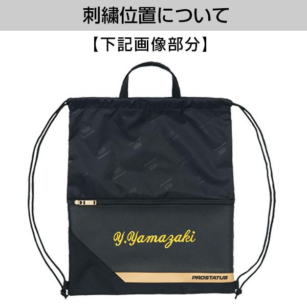 ゼット（ZETT） プロステイタス ランドリーバッグ 約6L BAP1019 かばん