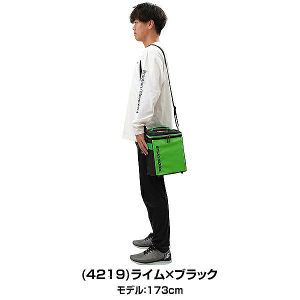ゼット プロステイタス グラブケース1ケ入 野球 大人 バッグ ゼット プロステイタス グラブケース1ケ入 野球 大人 バッグ