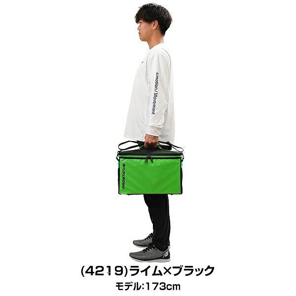 ゼット（ZETT） プロステイタス グラブケース2ケ入 野球 大人 バッグ