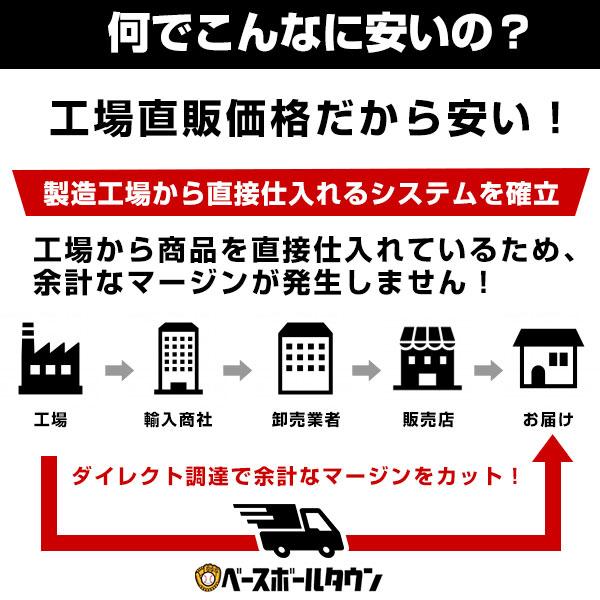 野球 投球練習用ネット 9ゾーンネット 126×110cm 硬式 軟式 ソフト対応 収納バッグ付き 投球ネット ストラックアウト 投手 ピッチング コントロール 自宅 BBCH | ブランド登録なし | 09