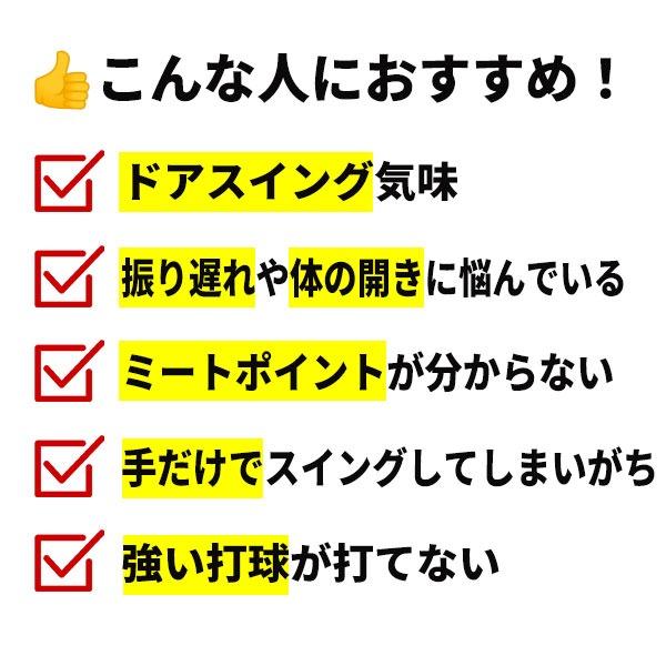 レビューで6ヶ月保証 野球 練習 フレックストレーニングバット しなりで自然にスイング矯正 100cm 長尺モデル 約620g 素振り 打撃 長尺バット バッティング BBCH | ブランド登録なし | 03