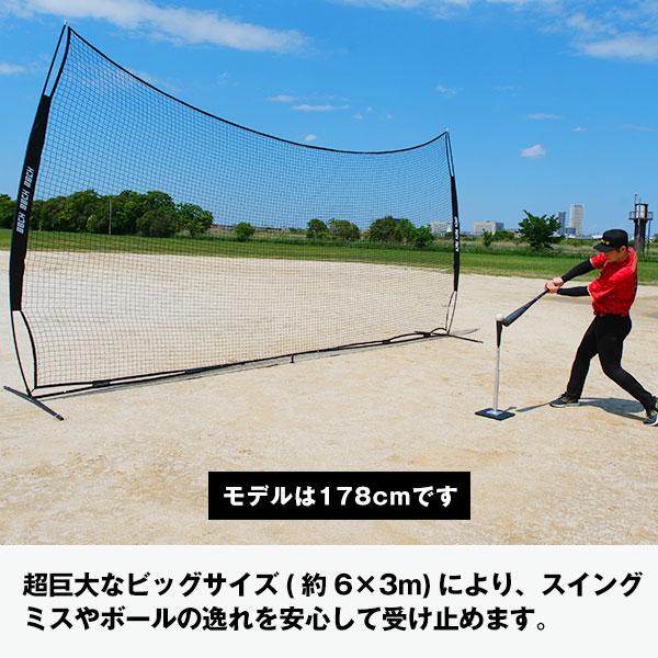 野球 練習 マルチネット 6m×3m ネット 硬式 軟式 ソフトボール