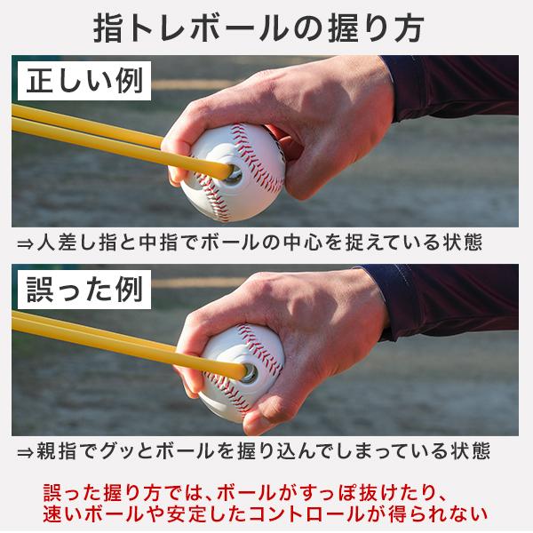 レビューで6ヶ月保証 野球 練習 指トレボール フォーシーム カラビナ