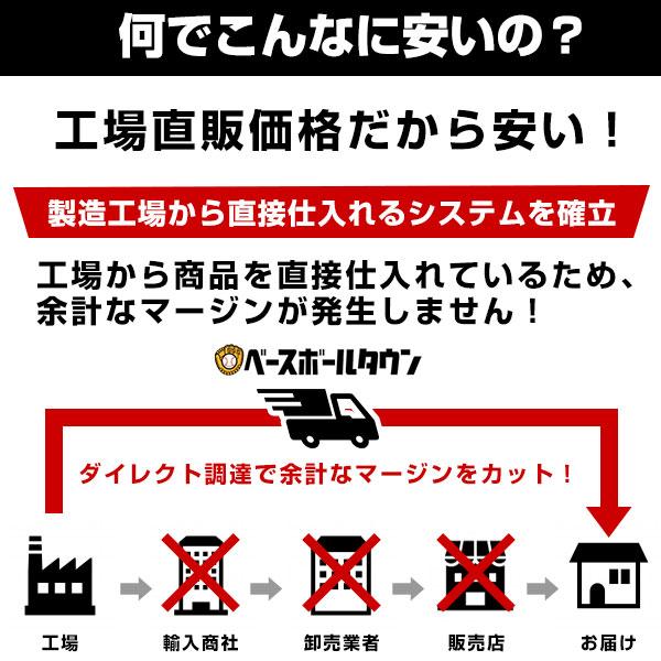 レビューで6ヶ月延長保証 野球 練習 マルチウェイトボール9