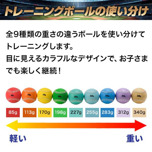 レビューで6ヶ月延長保証 野球 練習 マルチウェイトボール9