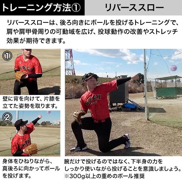 レビューで6ヶ月延長保証 野球 練習 マルチウェイトボール9