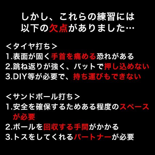 レビューで6ヶ月保証 野球 練習 パワーヒッティングサンドバッグ