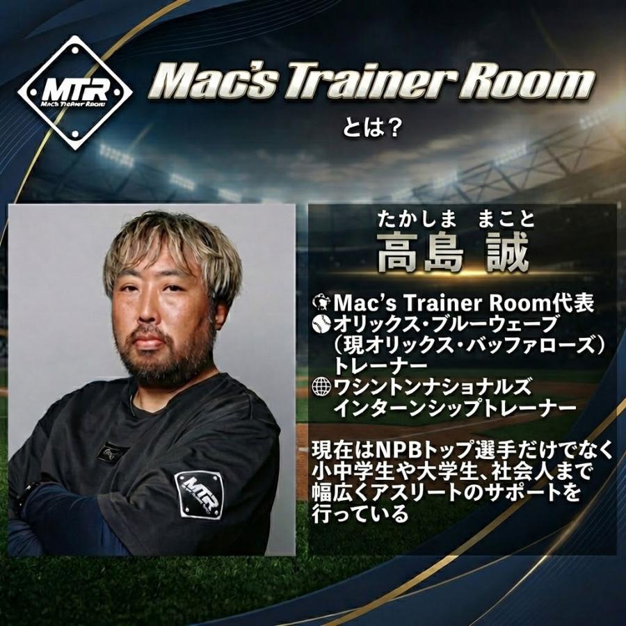 野球 プライオプッシュアップセット 両手用 腕立て伏せ プライオ
