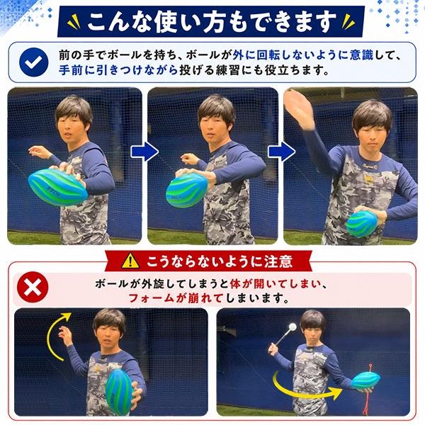 レビューで6ヶ月保証 野球 練習 スローイングフォームトレーニング
