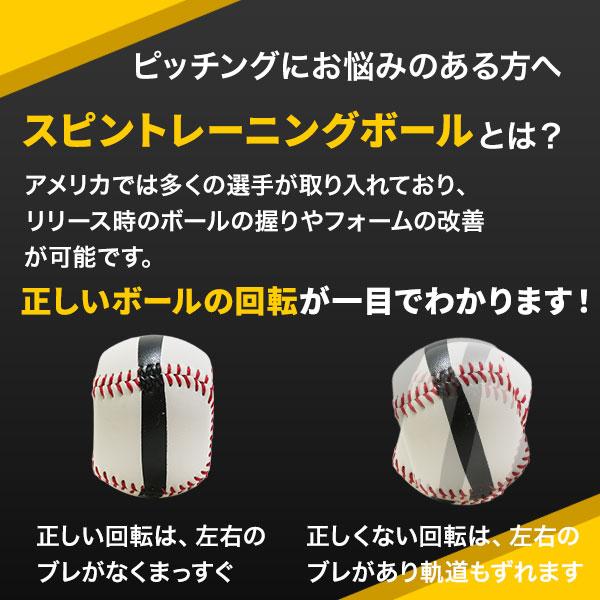 【握力】鉄球とプレートホルダーのセット｜ ピンチ力 ホールド力 スポーツ 強化 握力】鉄球とプレートホルダーのセット｜ ピンチ力 ホールド力