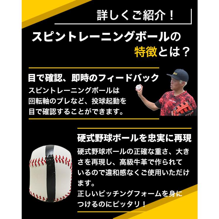 レビューで6ヶ月保証 野球 練習 スピントレーニングボール 4シーム