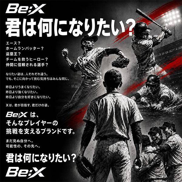 野球 練習 投球保護用ネット 硬式 軟式 ソフトボール対応 防球ネット