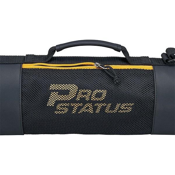 野球 バットケース 2本入れ 大人 ゼット ZETT プロステイタス バットケース2本入 メッシュ ポケット付き BCP7207 2026年NEWモデル バッグ刺繍有料可(B) | ゼット | 02