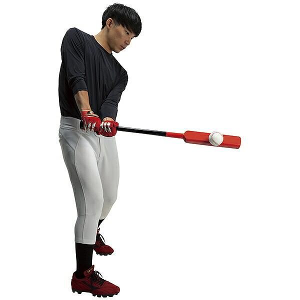 ザナックス 交換無料 野球 トレーニングバット 木製 合竹 バンブー