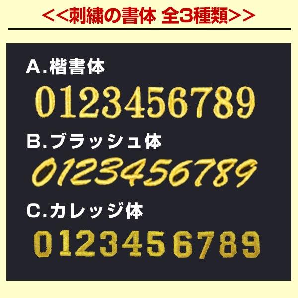 文字刺繍代金込み ゼット プロステイタス リストバンド 野球 BW151A 名入れ 名前入れ ネーム加工 背番号 加工可能(N) | ゼット | 09